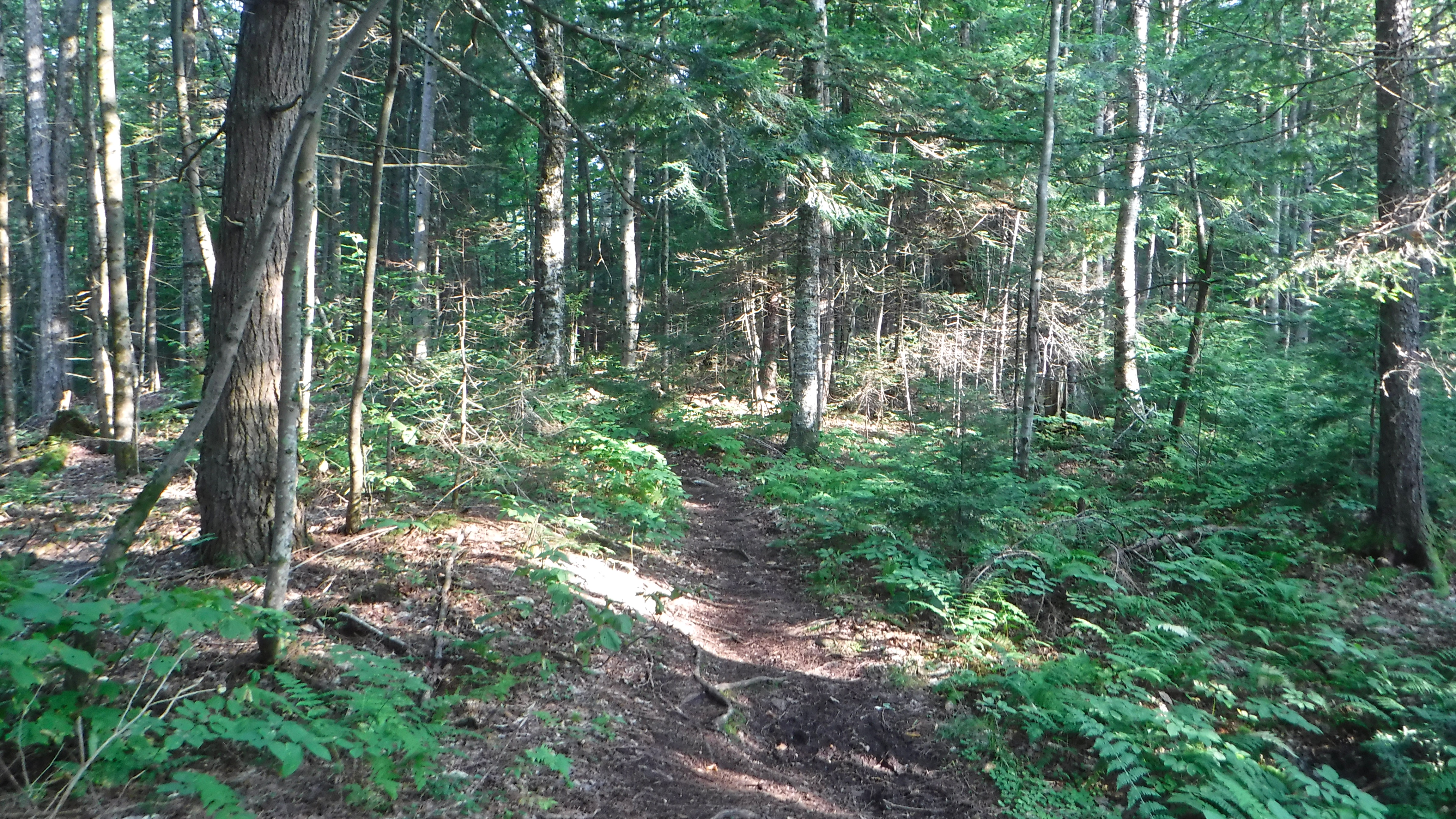 AT 2017: Day 136, Ore Hill Campsite to Jeffers Brook Shelter | Hike ...