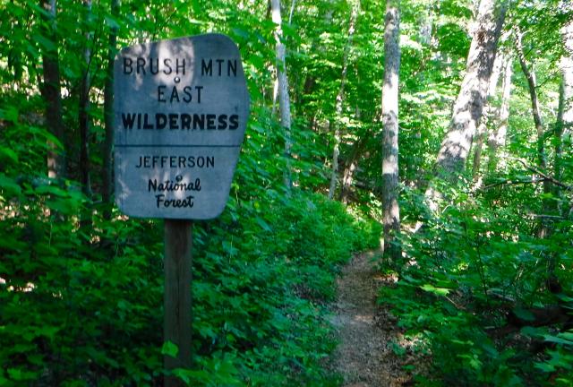 Entering Brush Mountain Wilderness Area