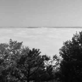 A sea of clouds viewed from Mount Bushnell