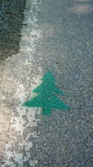Tree painted on road