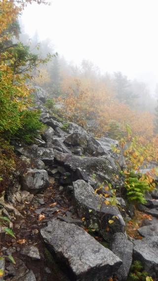 Foggy climb up South Crocker Mountain
